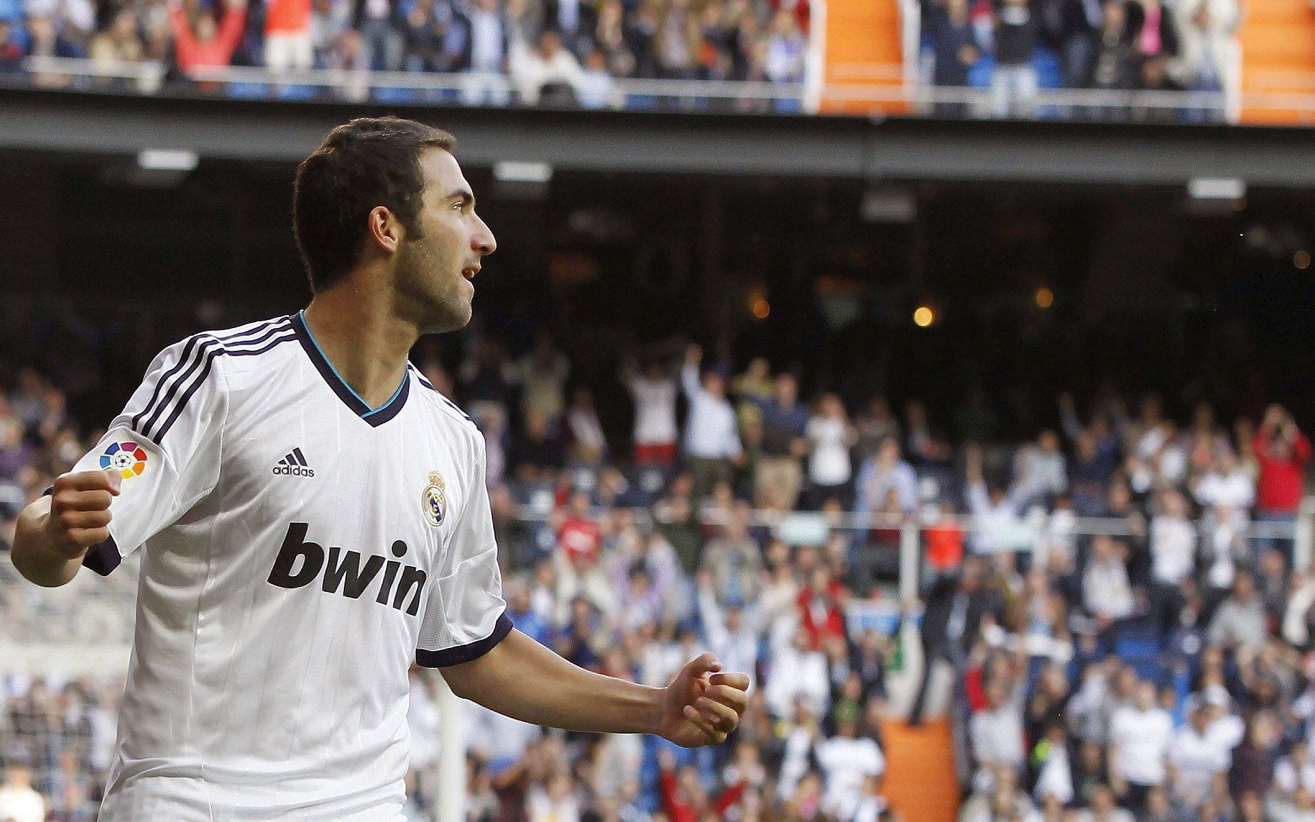 “游泳赛场：2025世界游泳锦标赛新星冲击金牌”